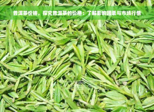 普洱茶价格，探究普洱茶的价格：了解影响因素与市场行情