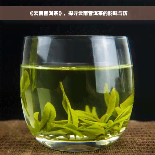 《云南普洱茶》，探寻云南普洱茶的韵味与历