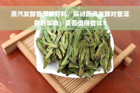 蒸汽发酵普洱茶好吗，探讨蒸汽发酵对普洱茶的影响：是否值得尝试？