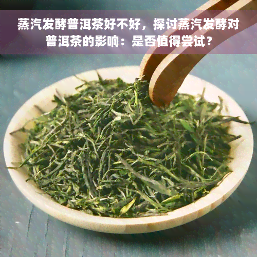 蒸汽发酵普洱茶好不好，探讨蒸汽发酵对普洱茶的影响：是否值得尝试？