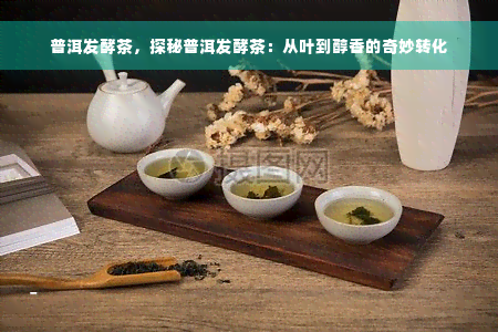 普洱发酵茶，探秘普洱发酵茶：从叶到醇香的奇妙转化