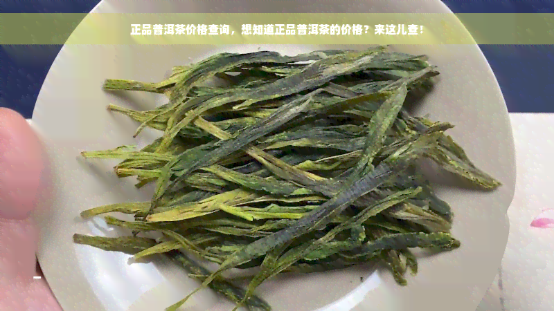 正品普洱茶价格查询，想知道正品普洱茶的价格？来这儿查！