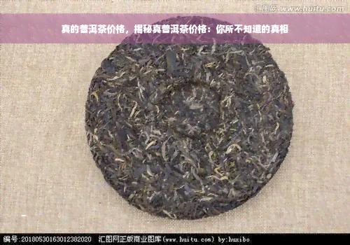 真的普洱茶价格，揭秘真普洱茶价格：你所不知道的真相