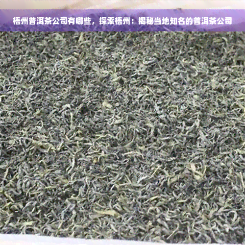 梧州普洱茶公司有哪些，探索梧州：揭秘当地知名的普洱茶公司