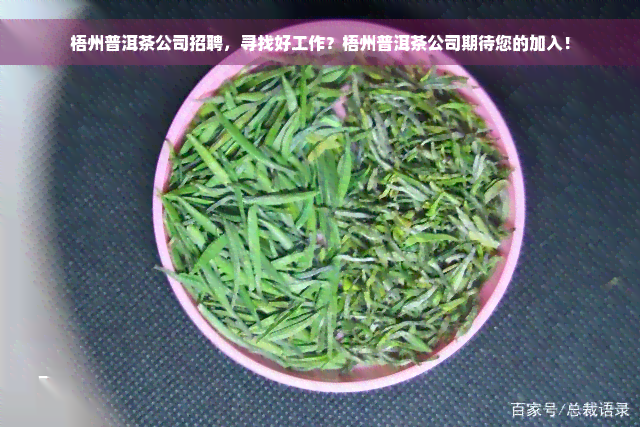 梧州普洱茶公司招聘，寻找好工作？梧州普洱茶公司期待您的加入！