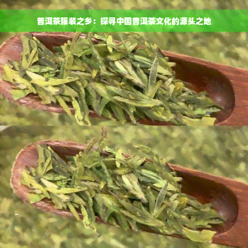 普洱茶服装之乡：探寻中国普洱茶文化的源头之地