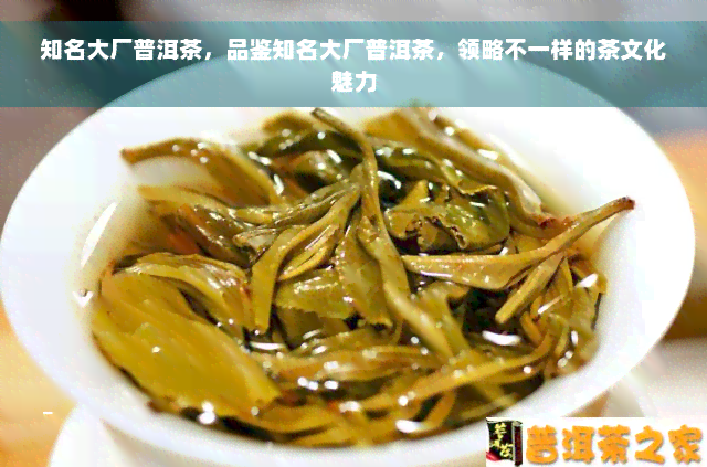 知名大厂普洱茶，品鉴知名大厂普洱茶，领略不一样的茶文化魅力