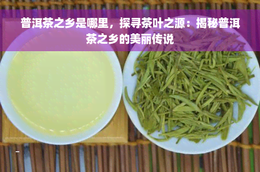 普洱茶之乡是哪里，探寻茶叶之源：揭秘普洱茶之乡的美丽传说