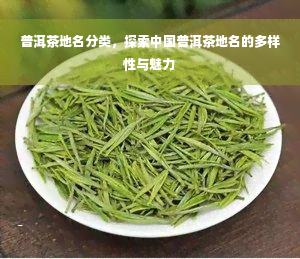 普洱茶地名分类，探索中国普洱茶地名的多样性与魅力