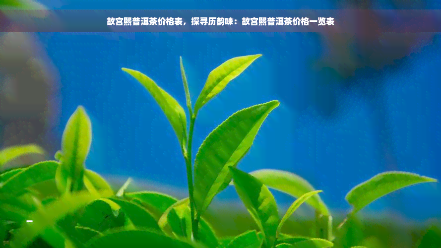 故宫熙普洱茶价格表，探寻历韵味：故宫熙普洱茶价格一览表