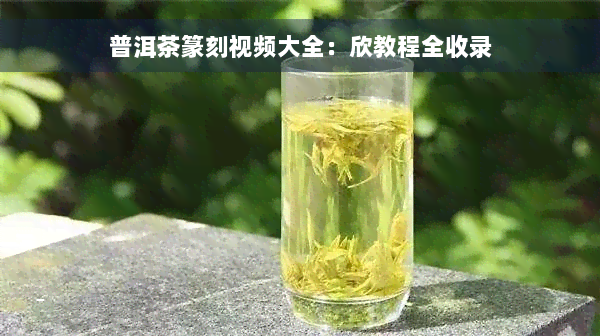 普洱茶篆刻视频大全：欣教程全收录