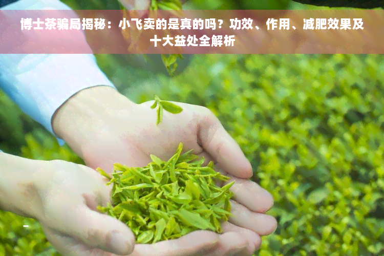 博士茶骗局揭秘：小飞卖的是真的吗？功效、作用、减肥效果及十大益处全解析