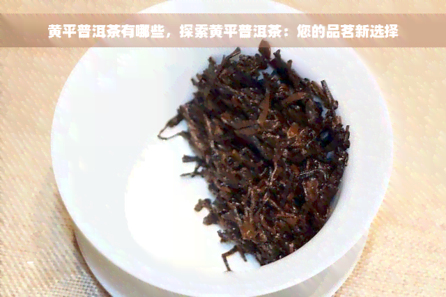 黄平普洱茶有哪些，探索黄平普洱茶：您的品茗新选择