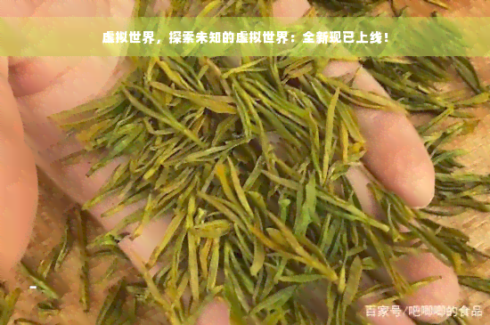 虚拟世界，探索未知的虚拟世界：全新现已上线！