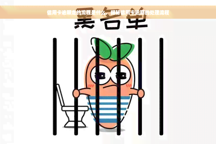 信用卡逾期走的流程是什么，揭秘信用卡逾期的处理流程