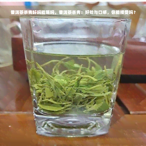 普洱茶杀青好吗能喝吗，普洱茶杀青：好处与口感，你能接受吗？