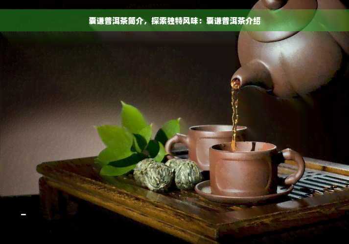 囊谦普洱茶简介，探索独特风味：囊谦普洱茶介绍