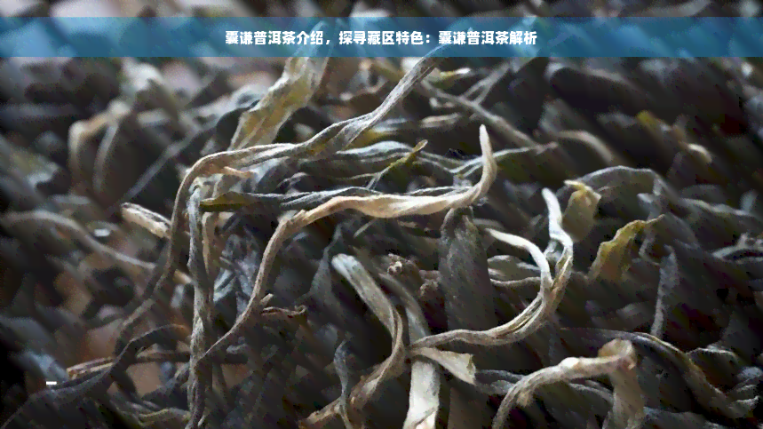 囊谦普洱茶介绍，探寻藏区特色：囊谦普洱茶解析