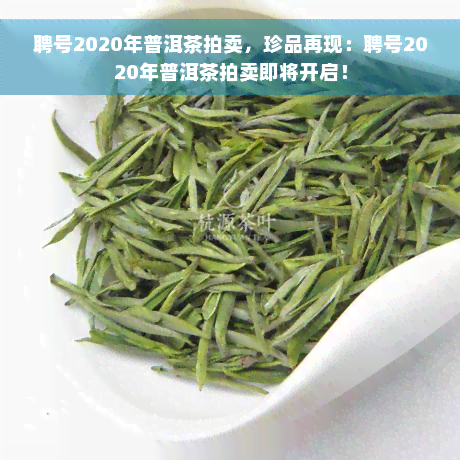 聘号2020年普洱茶拍卖，珍品再现：聘号2020年普洱茶拍卖即将开启！