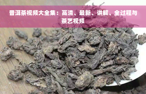 普洱茶视频大全集：高清、最新、讲解、全过程与茶艺视频