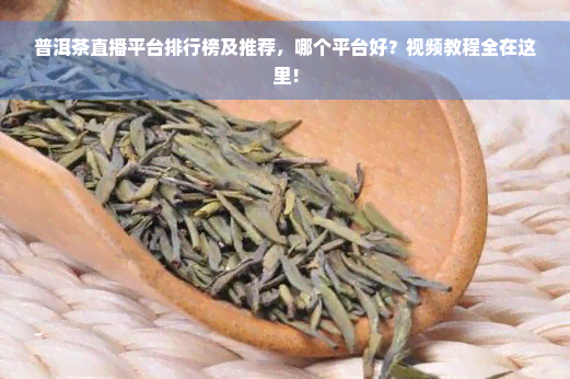 普洱茶直播平台排行榜及推荐，哪个平台好？视频教程全在这里！