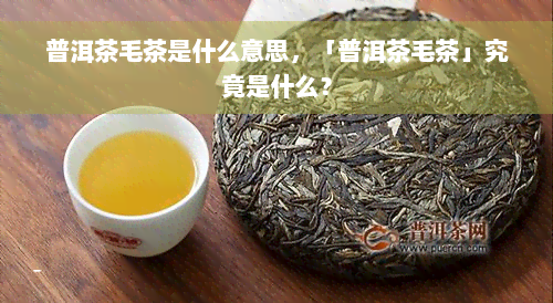 普洱茶毛茶是什么意思，「普洱茶毛茶」究竟是什么？