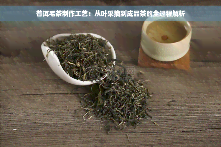 普洱毛茶制作工艺：从叶采摘到成品茶的全过程解析