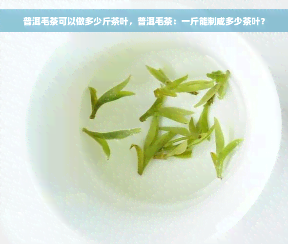 普洱毛茶可以做多少斤茶叶，普洱毛茶：一斤能制成多少茶叶？