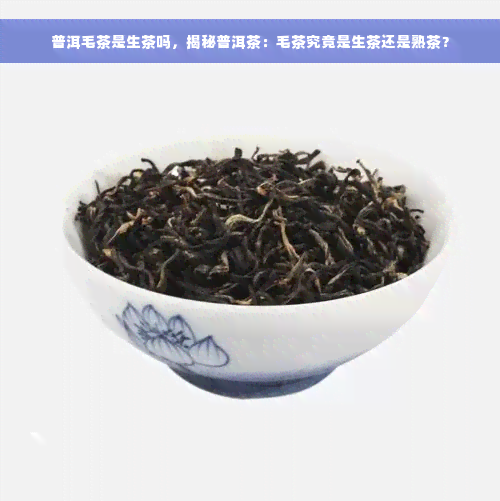 普洱毛茶是生茶吗，揭秘普洱茶：毛茶究竟是生茶还是熟茶？