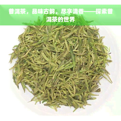 普洱茶，品味古韵，尽享清香——探索普洱茶的世界