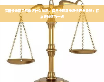 信用卡逾期免息偿还什么意思，信用卡逾期免息偿还全攻略：你需要知道的一切