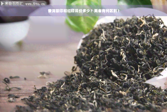 普洱茶印和红印现价多少？两者有何区别？