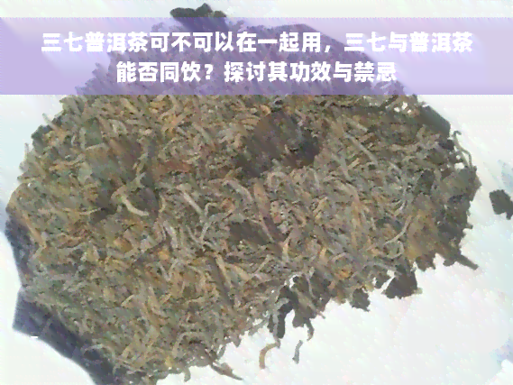 三七普洱茶可不可以在一起用，三七与普洱茶能否同饮？探讨其功效与禁忌