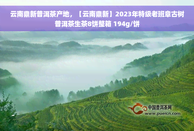 云南鼎新普洱茶产地，【云南鼎新】2023年特级老班章古树普洱茶生茶8饼整箱 194g/饼