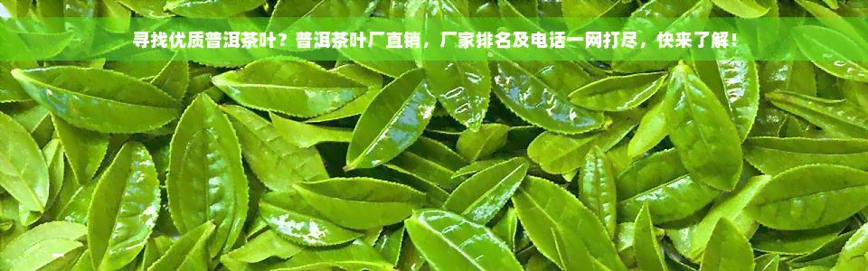 寻找优质普洱茶叶？普洱茶叶厂直销，厂家排名及电话一网打尽，快来了解！