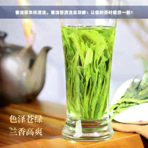 普洱茶怎样清洗，普洱茶清洗全攻略：让你的茶叶焕然一新！