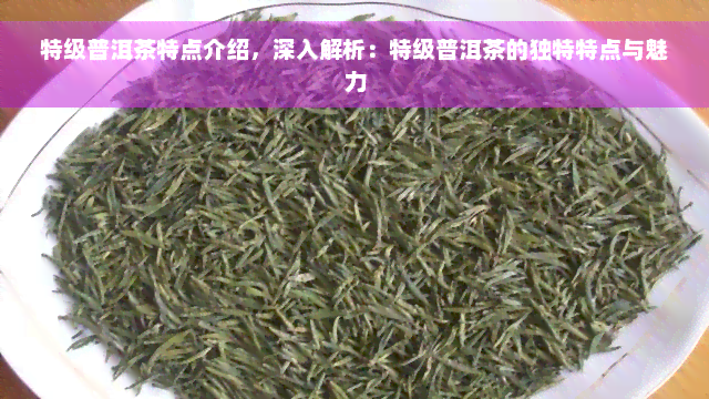 特级普洱茶特点介绍，深入解析：特级普洱茶的独特特点与魅力