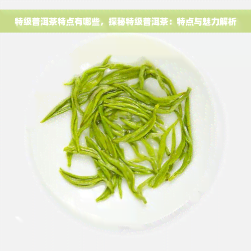 特级普洱茶特点有哪些，探秘特级普洱茶：特点与魅力解析