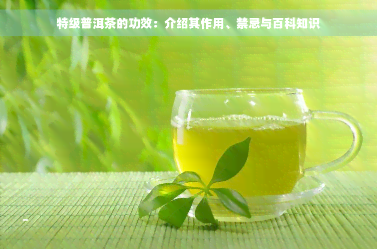 特级普洱茶的功效：介绍其作用、禁忌与百科知识