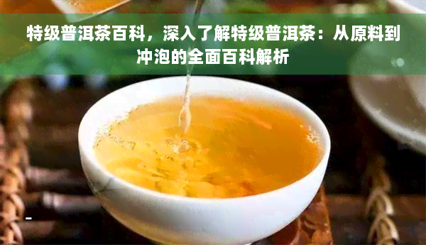 特级普洱茶百科，深入了解特级普洱茶：从原料到冲泡的全面百科解析