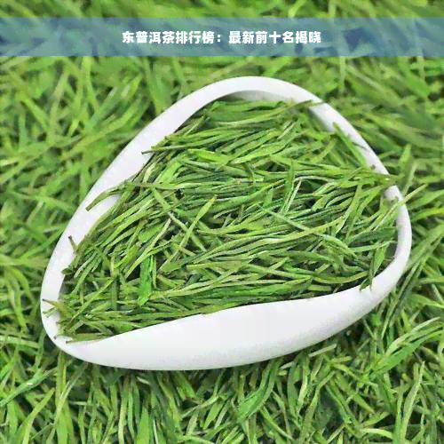 东普洱茶排行榜：最新前十名揭晓