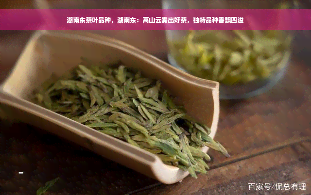 湖南东茶叶品种，湖南东：高山云雾出好茶，独特品种香飘四溢