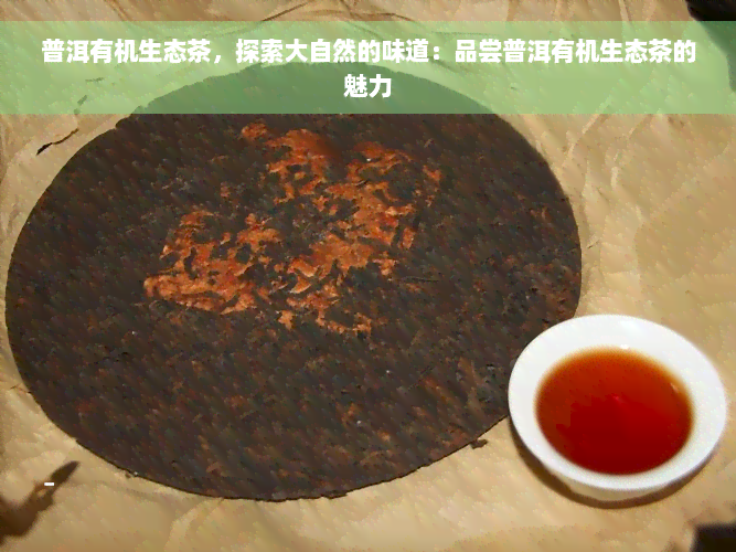 普洱有机生态茶，探索大自然的味道：品尝普洱有机生态茶的魅力