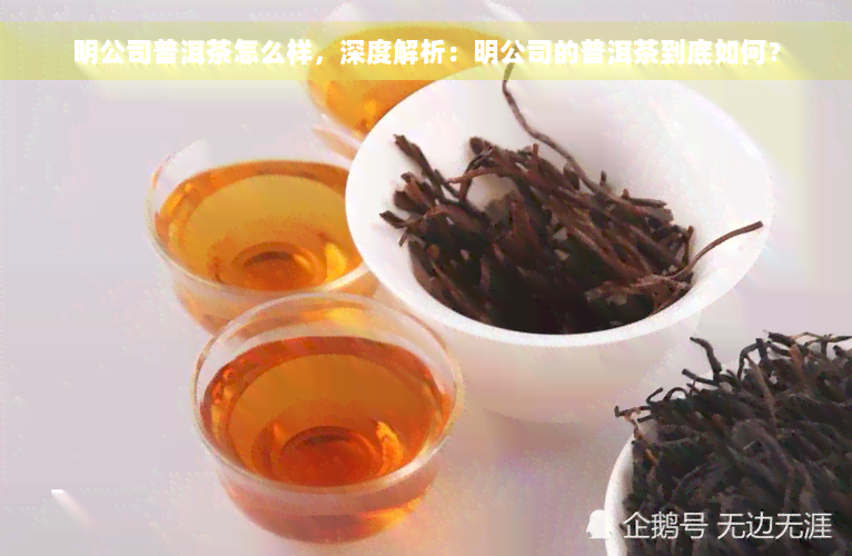 明公司普洱茶怎么样，深度解析：明公司的普洱茶到底如何？