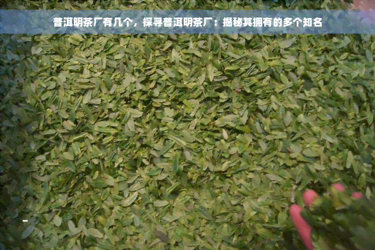 普洱明茶厂有几个，探寻普洱明茶厂：揭秘其拥有的多个知名