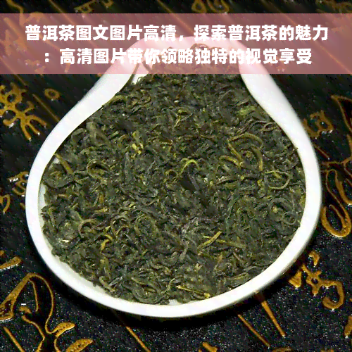 普洱茶图文图片高清，探索普洱茶的魅力：高清图片带你领略独特的视觉享受