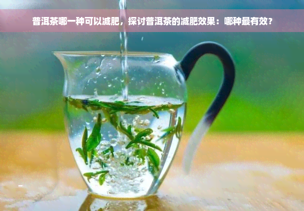 普洱茶哪一种可以减肥，探讨普洱茶的减肥效果：哪种最有效？