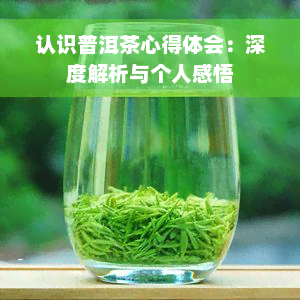 认识普洱茶心得体会：深度解析与个人感悟