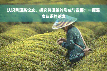 认识普洱茶论文，探究普洱茶的形成与发展：一篇深度认识的论文