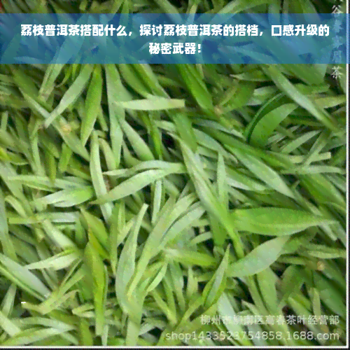 荔枝普洱茶搭配什么，探讨荔枝普洱茶的搭档，口感升级的秘密武器！